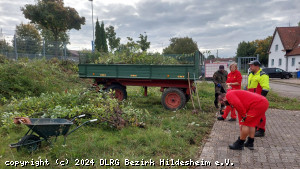 Das erste Strauchwerk wurde schon auf dem Anhänger geladen